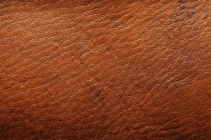 Leather Facts · Leather Miracles